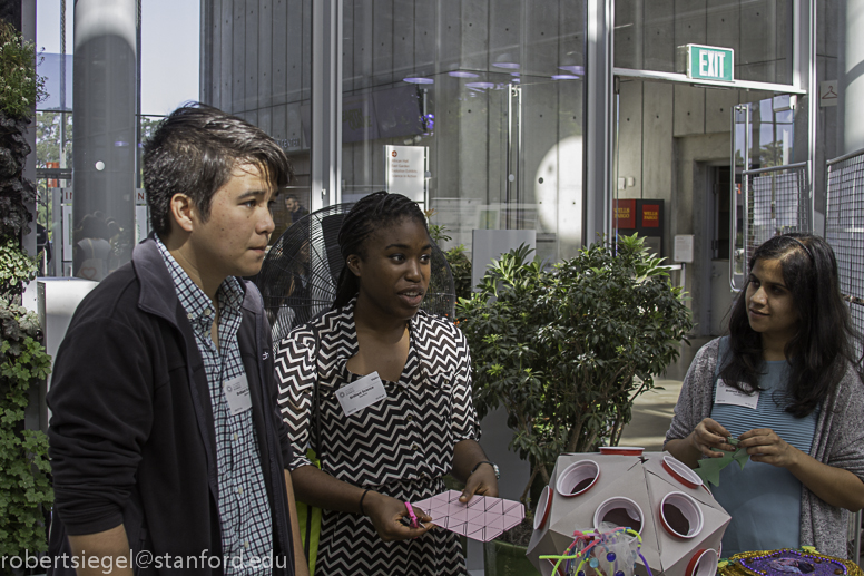 pandemic family day at the Cal Academy